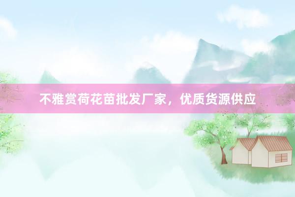 不雅赏荷花苗批发厂家，优质货源供应